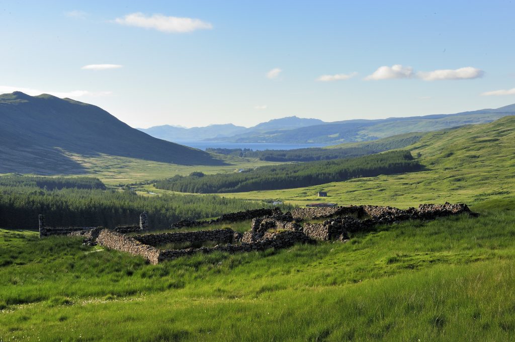 Guided walking & wildlife breaks, Hooked on Mull